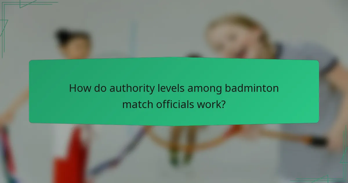 How do authority levels among badminton match officials work?