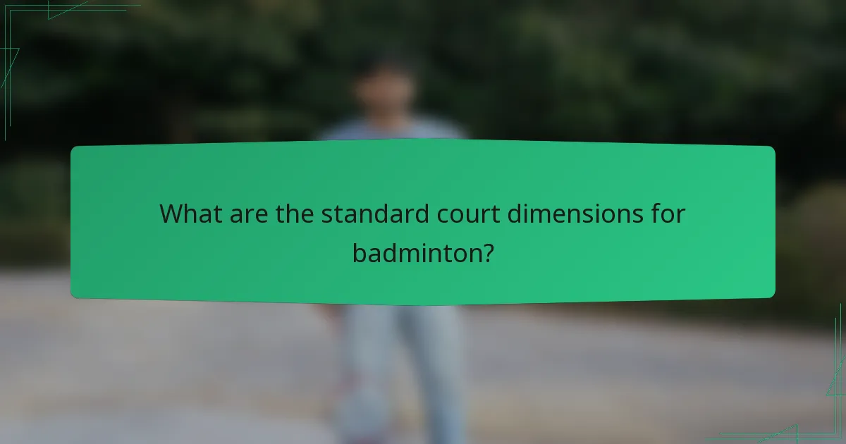 What are the standard court dimensions for badminton?
